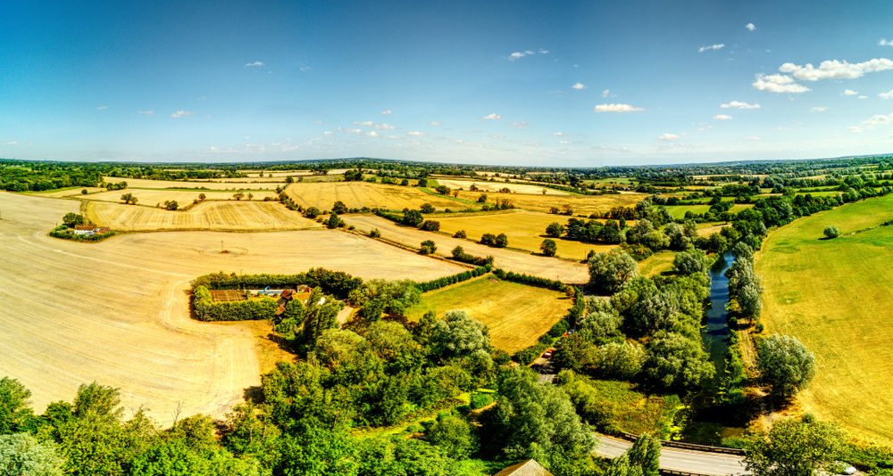 My Procurement Journey – Stacey